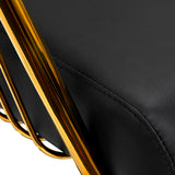 Hair System Lile Hair Salon Styling Chair Gold & Black - close-up of the upholstery and construction details