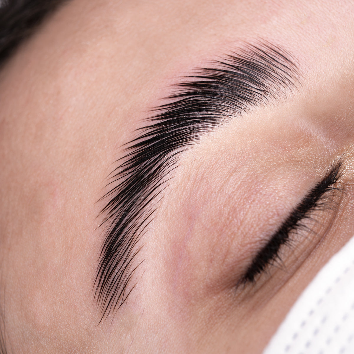 Kalentin brow lamination treatment result showing shaped eyebrow hairs