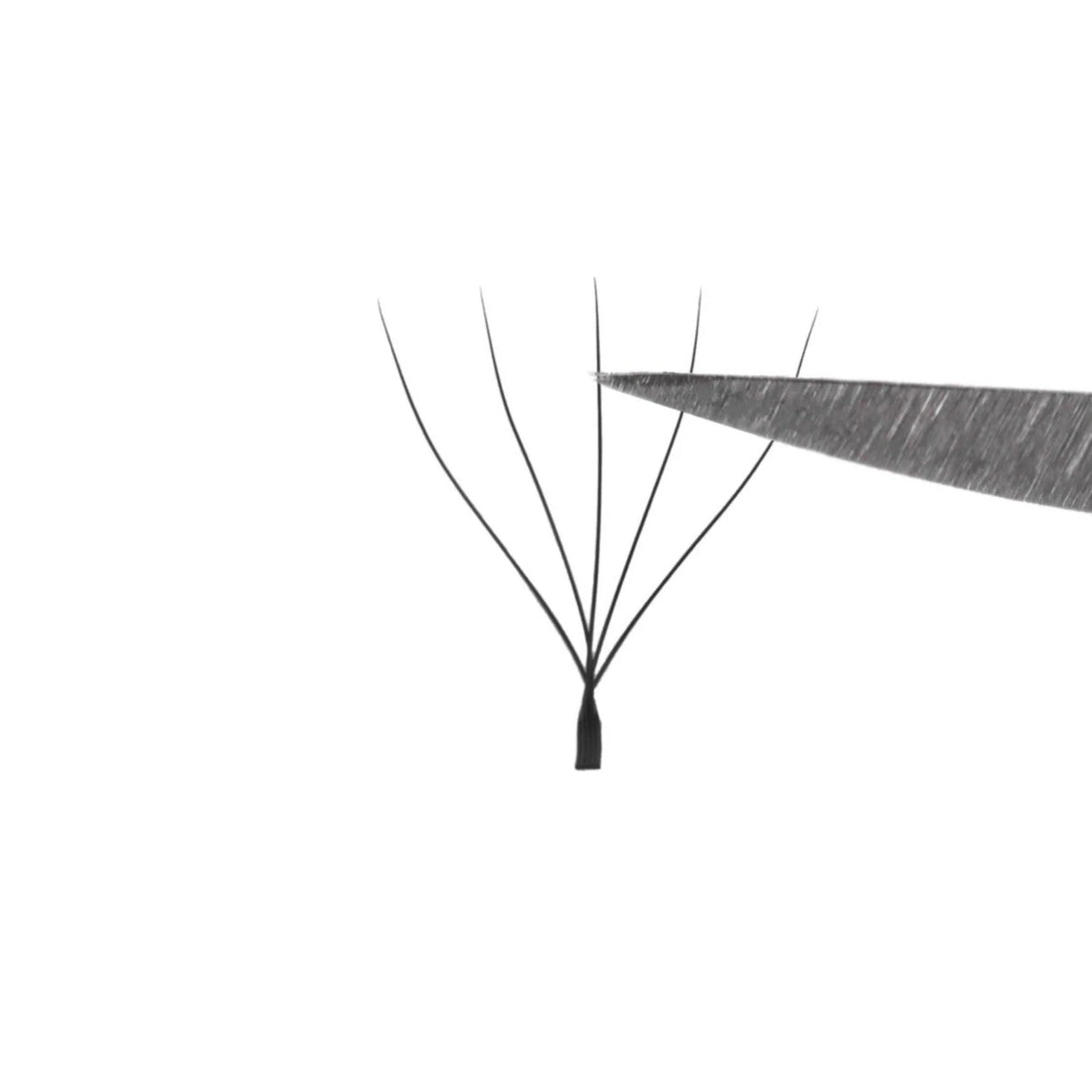 Kalentin English 5Leaf lash fibre structure detail