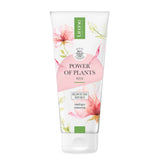 Lirene Power Of Plants Moisturising Body Balm Rose - arranged with the included components on a white background