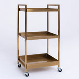 Manufakturo Beauty Trolley Assistant on Wheels Gold - front view showing the storage and construction details