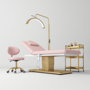 Manufakturo Chérie Premium Electric 4-piece Salon Set Bare Blush - coordinated furniture pieces arranged on a white background