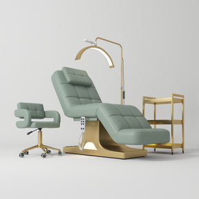 Manufakturo Saphir version A Olive - 4-Piece Beauty Studio Set: Luxury Bed, Chair, Lamp & Trolley - close-up of a construction detail