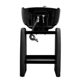 Omega Aqualina backwash unit showing the rear frame and water connections