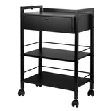Pro Ink 1019A Tattoo Trolley Black - front view showing the storage and construction details