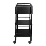 Pro Ink 1019A Tattoo Trolley Black - front view showing the storage and construction details