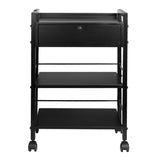 Pro Ink 1019A Tattoo Trolley Black - front view showing the storage and construction details