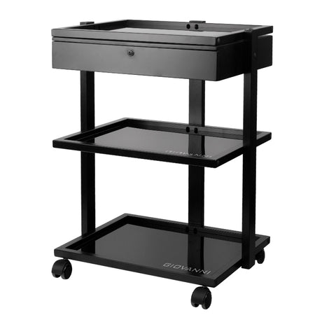Pro Ink Tattoo Assistant Trolley 1040A Black - front view showing the storage and construction details