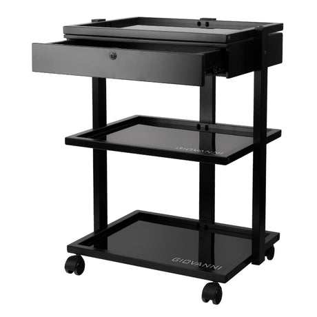 Pro Ink Tattoo Assistant Trolley 1040A Black - front view showing the storage and construction details