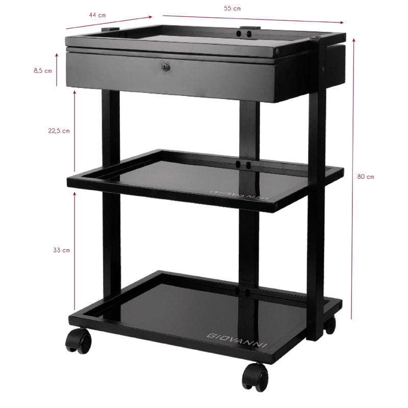 Pro Ink Tattoo Assistant Trolley 1040A Black - front view showing the storage and construction details