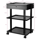 Pro Ink Tattoo Assistant Trolley 1040A Black - front view showing the storage and construction details