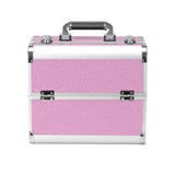 Roxie Cosmetics 44 Professional Cosmetic Case Pink - open cosmetic case with divided storage compartments on a white background
