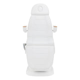 Sillon Lux 273B 3-Motor Electric Beauty Bed White - close-up showing the headrest, upholstery and adjustment controls