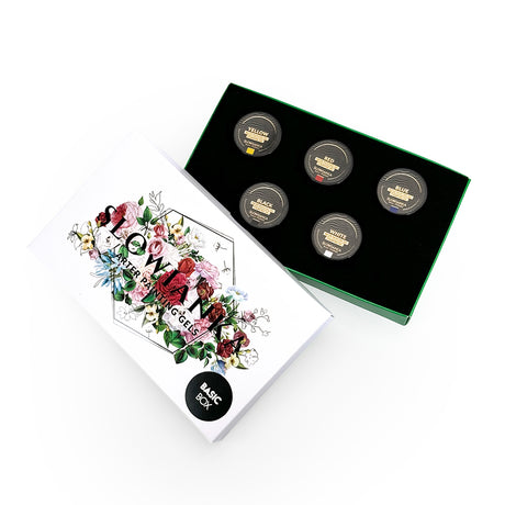 Slowianka Arter Painting Gels Basic Box Kit - retail packaging shown on a light background