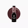 Victoria Vynn Gel Polish 480 Bordeaux bottle shown against a matching colour circle