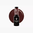 Victoria Vynn GEL POLISH bottle in shade 481 Oxblood against a burgundy colour swatch.