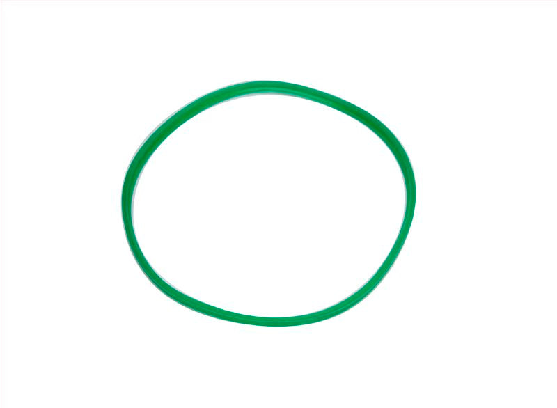 Woson Silicone Autoclave Gasket 10L/12L Green 7.5mm - complete device isolated on a white background
