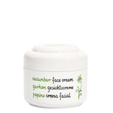 Ziaja Cucumber Face Cream Oily & Normal Skin - retail packaging on a white background