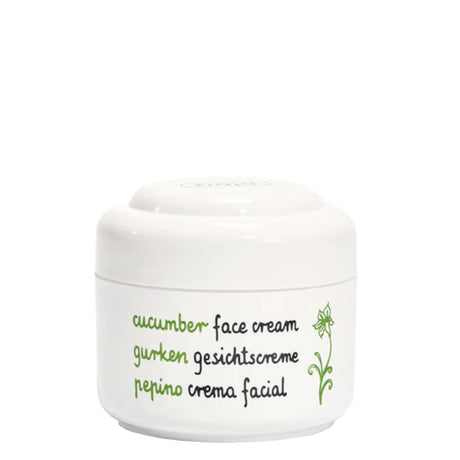 Ziaja Cucumber Face Cream Oily & Normal Skin - retail packaging on a white background