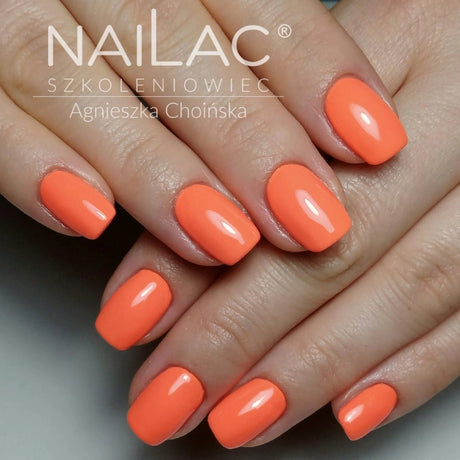 NaiLac UV/LED Gel Nail Polish 202 Nails Styling