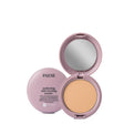 paese powder perfecting and covering nanorevit 05